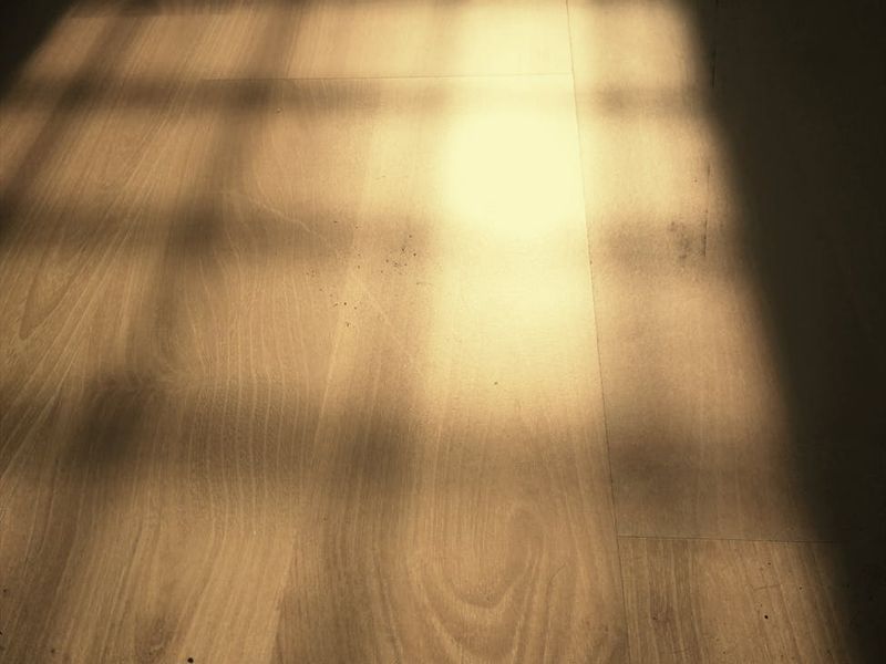 Minimalist training space with soft light falling on wood floors.